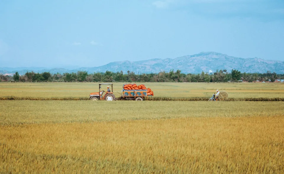 Kho gạo của Trần Văn Hạnh